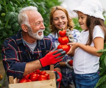 bigstock-Family-Working-Together-In-Gre-451053693