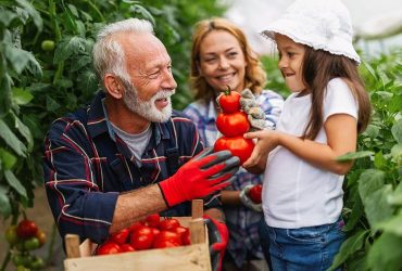bigstock-Family-Working-Together-In-Gre-451053693