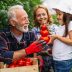 bigstock-Family-Working-Together-In-Gre-451053693